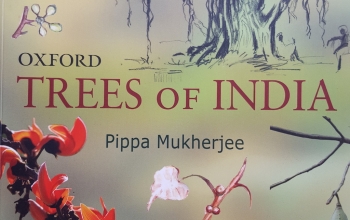 Trees of India - Front Cover of Book