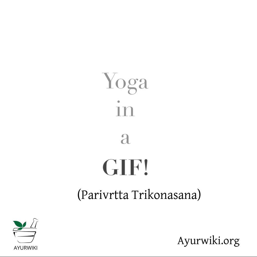 Parivrtta Trikonasana