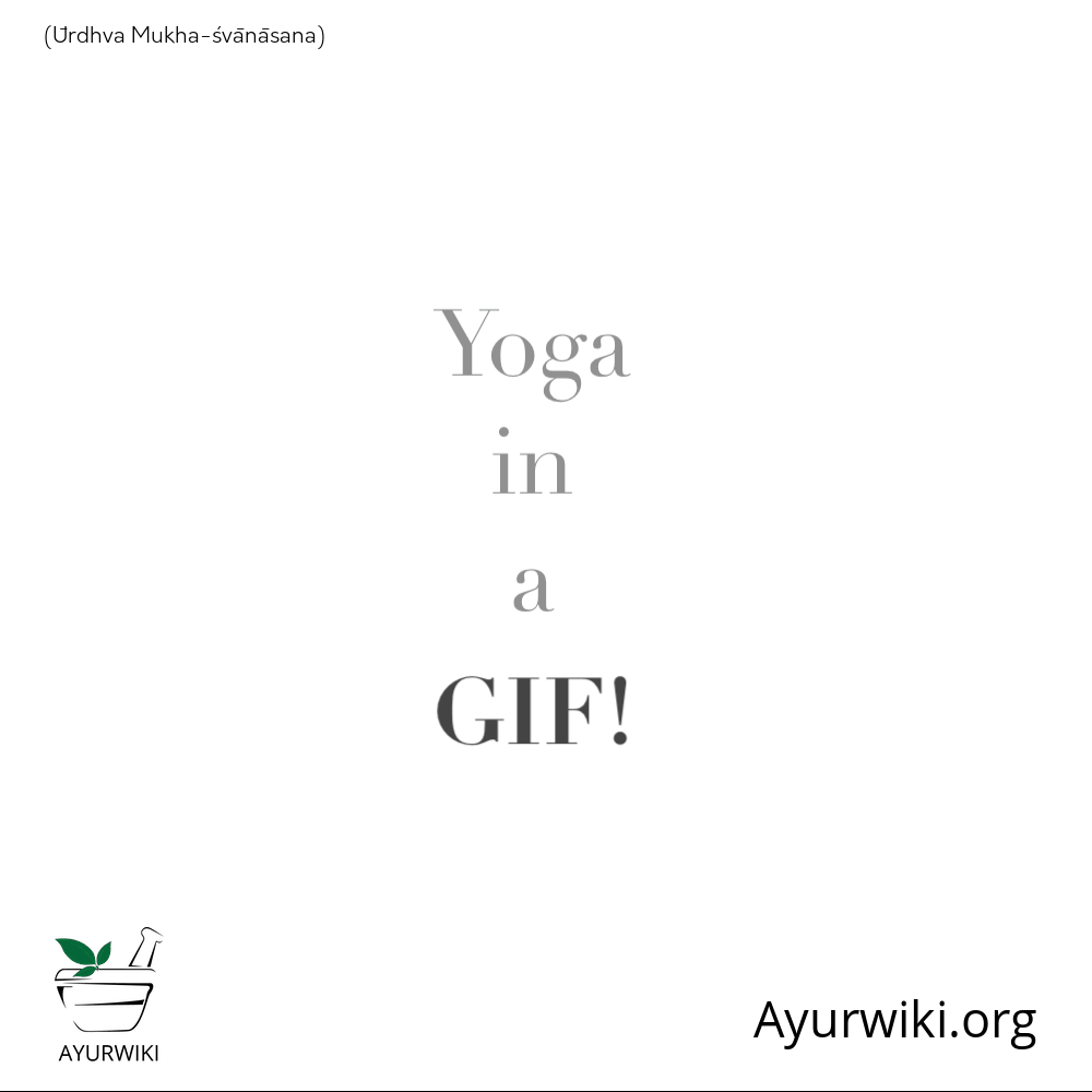 Urdhva Mukha Svanasana