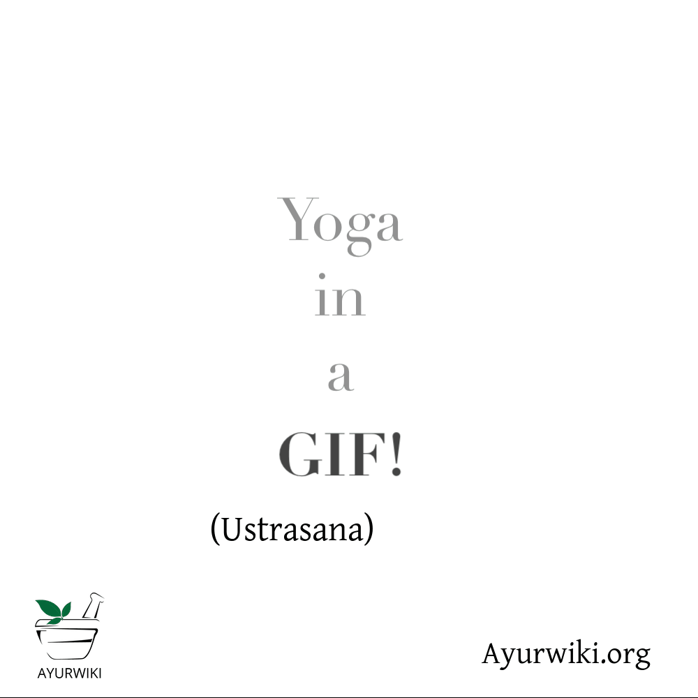 Ustrasana