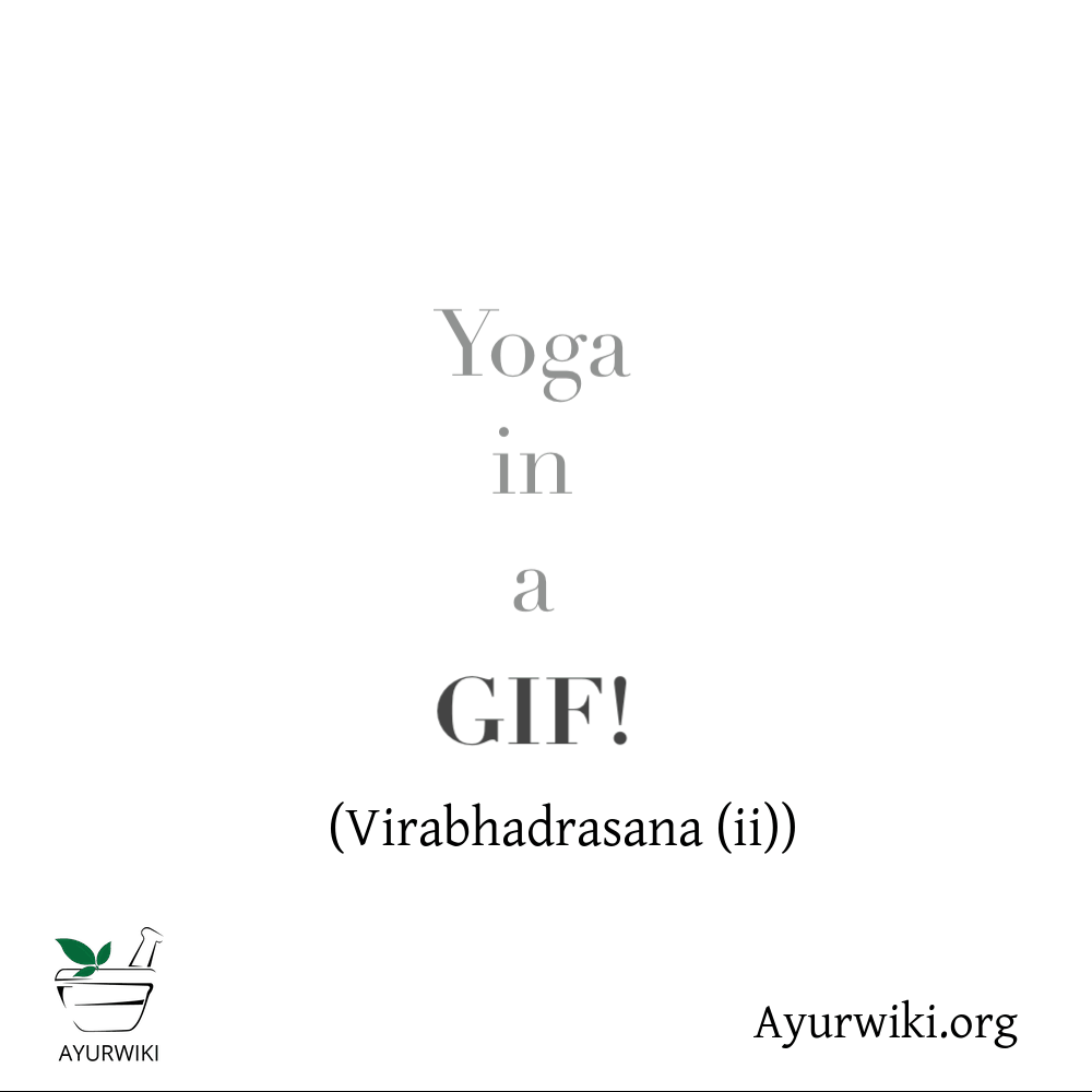 Virabhadrasana II
