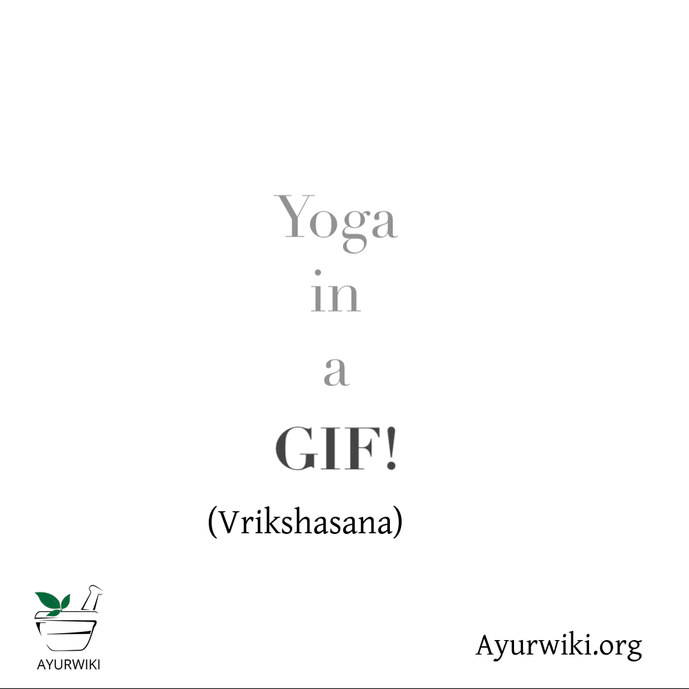 Vrkshasana
